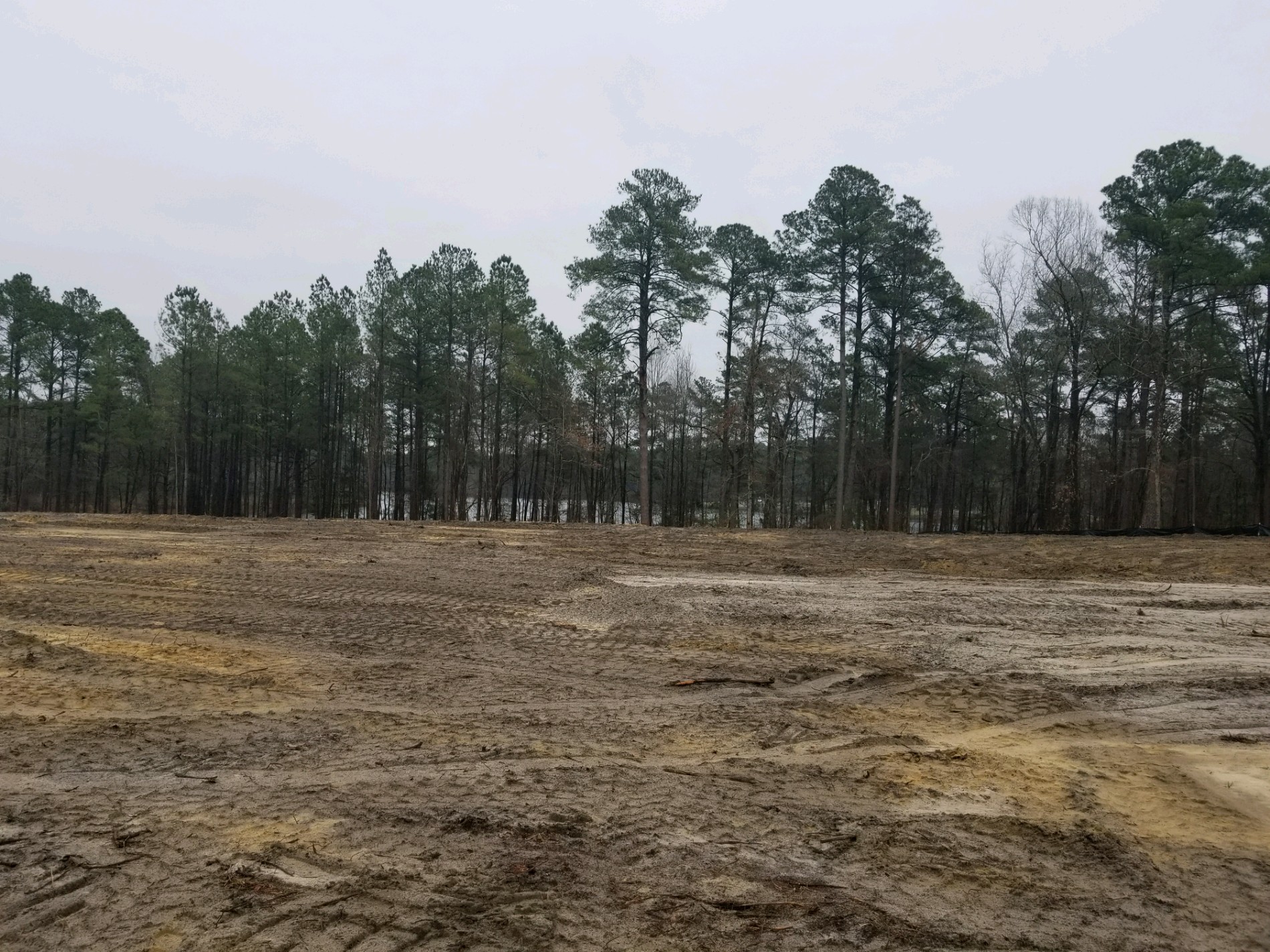 Senior Center West Site Prep 2_03-11-2019